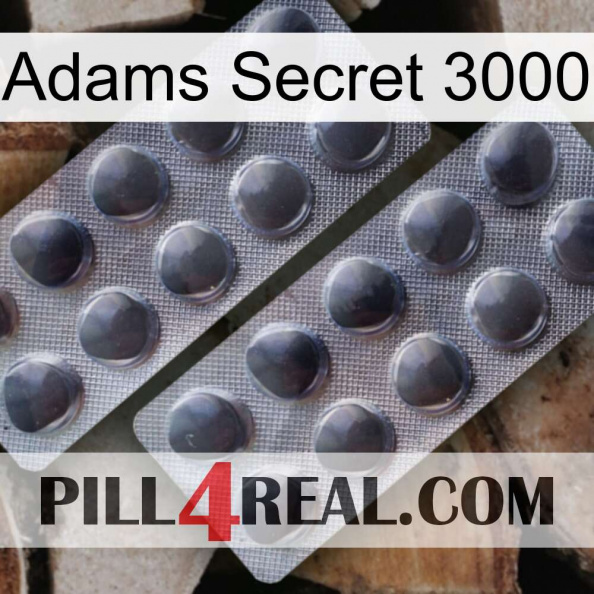 Adams Secret 3000 31